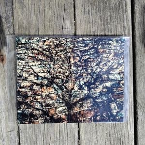 "Roots Growing From the Brick" - 8x10 Original Photographic Print Unframed